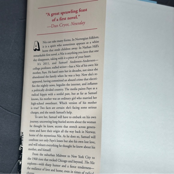 The Nix: A Novel by Nathan Hill | Historical Fiction | Hardcover Book - Picture 3 of 11